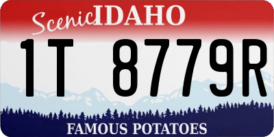 ID license plate 1T8779R