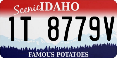 ID license plate 1T8779V