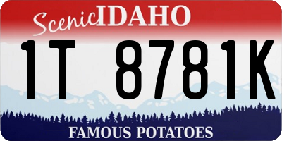 ID license plate 1T8781K