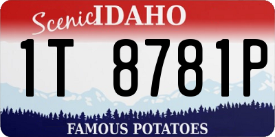 ID license plate 1T8781P