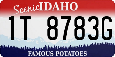 ID license plate 1T8783G