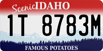 ID license plate 1T8783M