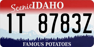 ID license plate 1T8783Z