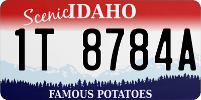 ID license plate 1T8784A