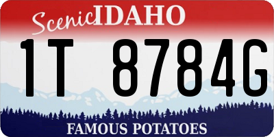 ID license plate 1T8784G