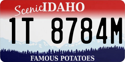 ID license plate 1T8784M