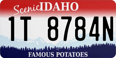 ID license plate 1T8784N