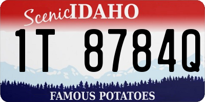 ID license plate 1T8784Q