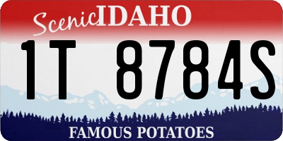ID license plate 1T8784S