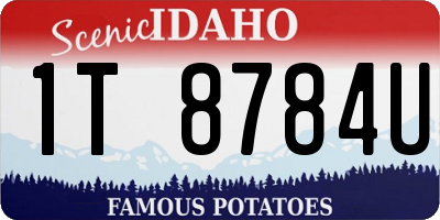 ID license plate 1T8784U