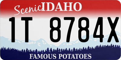 ID license plate 1T8784X