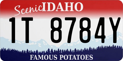 ID license plate 1T8784Y