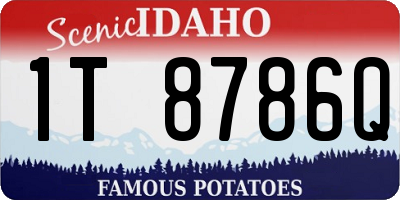 ID license plate 1T8786Q