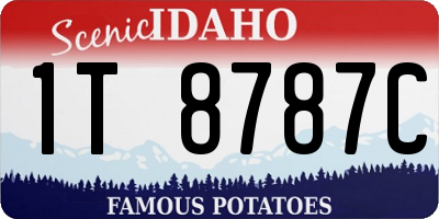 ID license plate 1T8787C