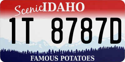 ID license plate 1T8787D