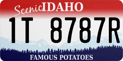 ID license plate 1T8787R