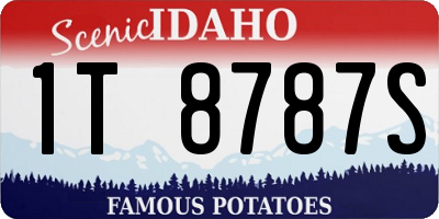 ID license plate 1T8787S