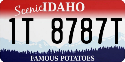 ID license plate 1T8787T