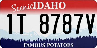 ID license plate 1T8787V