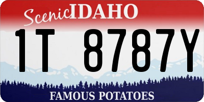 ID license plate 1T8787Y