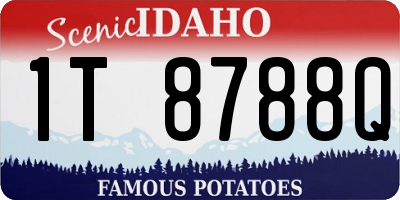 ID license plate 1T8788Q