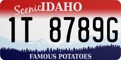 ID license plate 1T8789G