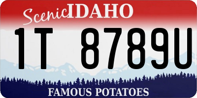 ID license plate 1T8789U