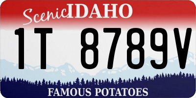 ID license plate 1T8789V