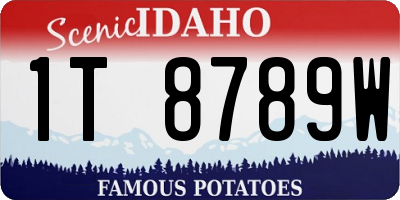 ID license plate 1T8789W