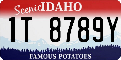 ID license plate 1T8789Y