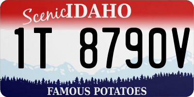 ID license plate 1T8790V
