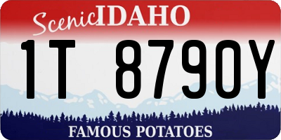 ID license plate 1T8790Y