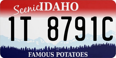 ID license plate 1T8791C
