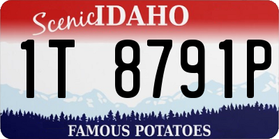 ID license plate 1T8791P