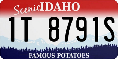 ID license plate 1T8791S