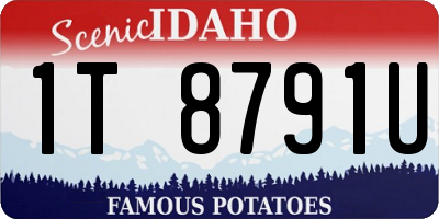 ID license plate 1T8791U
