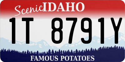 ID license plate 1T8791Y