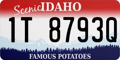 ID license plate 1T8793Q