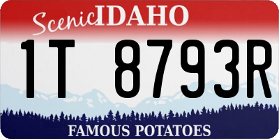 ID license plate 1T8793R
