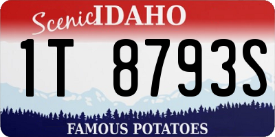 ID license plate 1T8793S