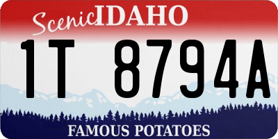 ID license plate 1T8794A