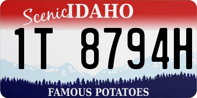 ID license plate 1T8794H