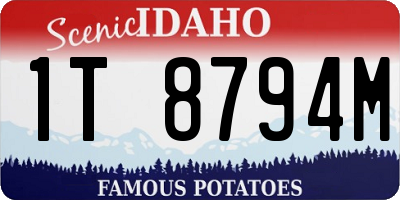 ID license plate 1T8794M