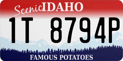 ID license plate 1T8794P