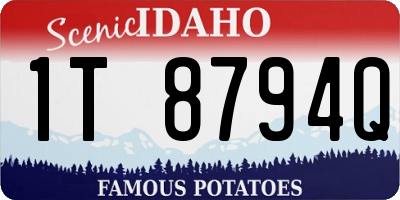 ID license plate 1T8794Q
