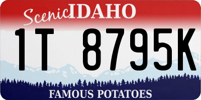 ID license plate 1T8795K