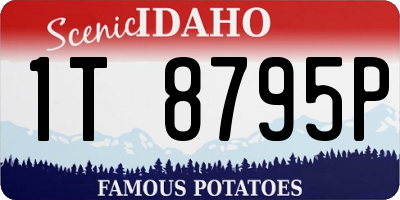 ID license plate 1T8795P