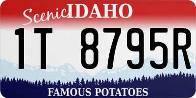 ID license plate 1T8795R