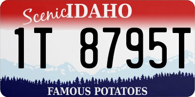 ID license plate 1T8795T