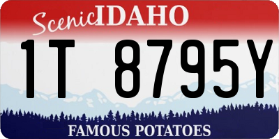 ID license plate 1T8795Y